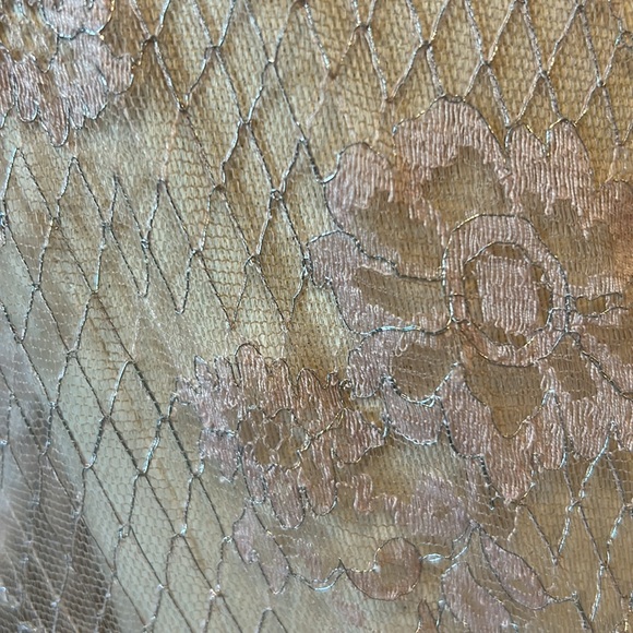 Theia size 8 formal wear, pink silk and lace midi length with keyhole back - Picture 3 of 8